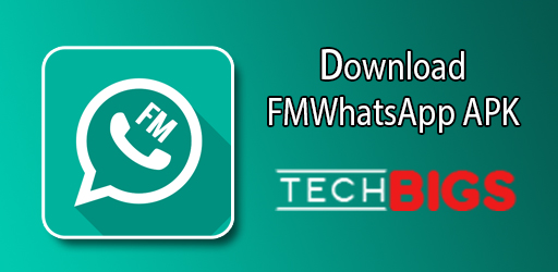 FM WhatsApp APK v9.41
