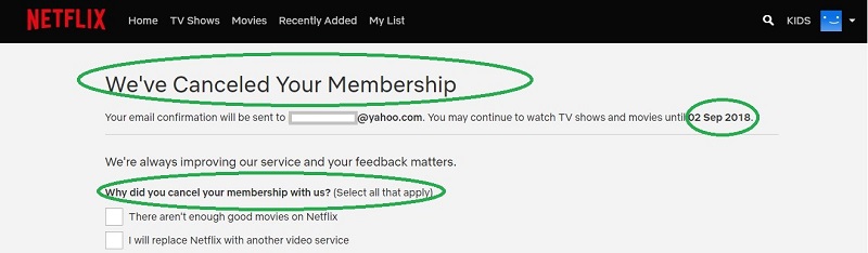 how-to-cancel-a-netflix-membership-4