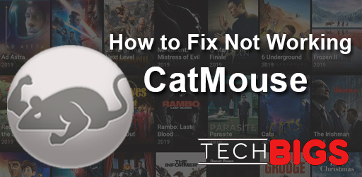 catmouse-not-working