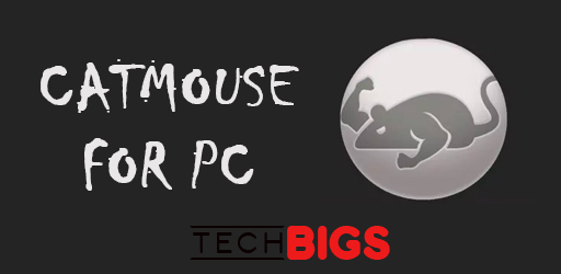 catmouse-for-pc