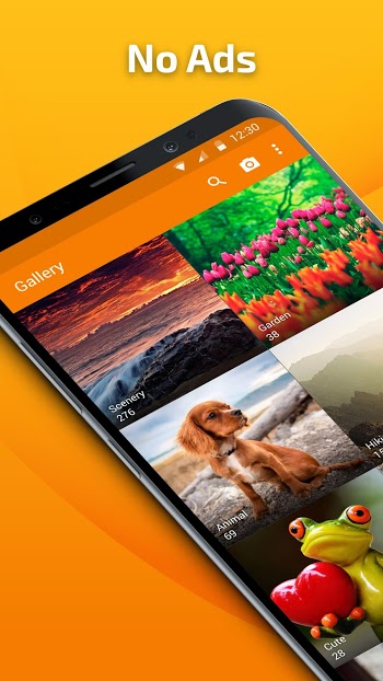 simple gallery pro mod apk