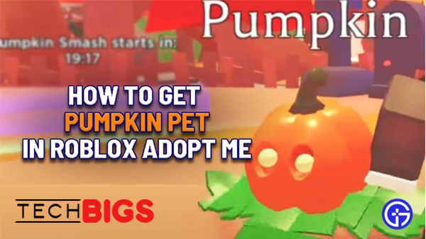 how-to-get-the-pumpkin-pet-in-adopt-me