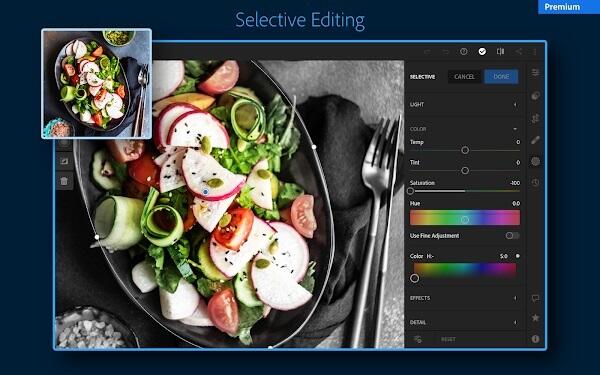 lightroom apk