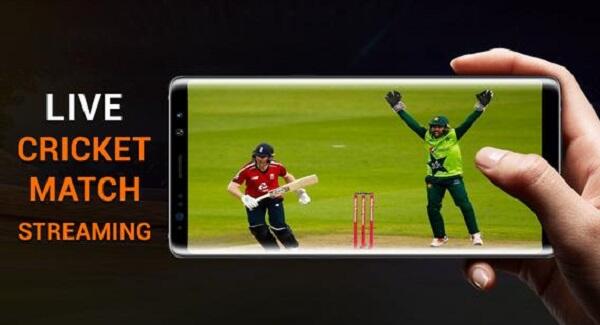 ptv sports apk