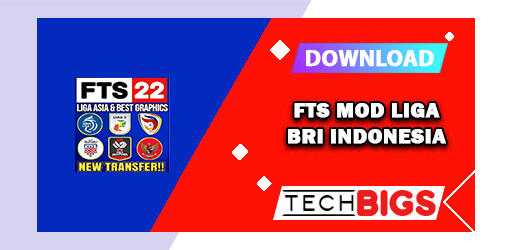 FTS Mod Liga BRI Indonesia