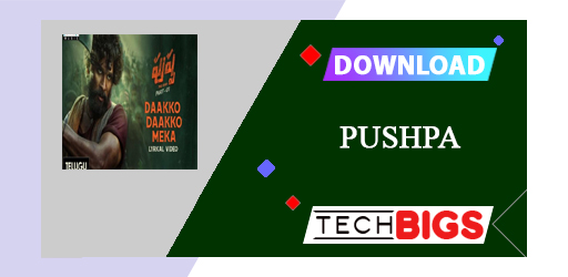 Pushpa APK Mod v17 (Premium Unlocked)