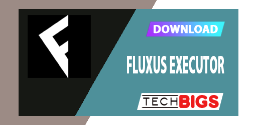 Download Fluxus Executor Android APK 2022 - HACKEROCHEK