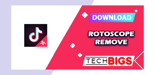 Rotoscope Remove