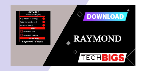 Raymond APK Mod v5.2